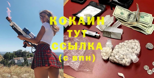 крисы Белокуриха
