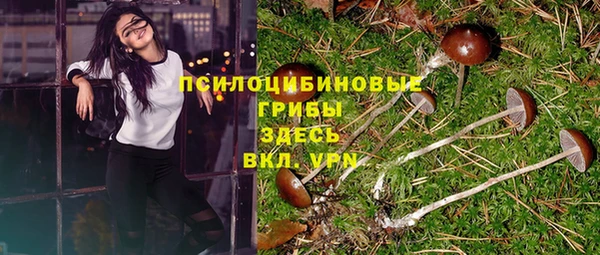 соль курить ск Сясьстрой