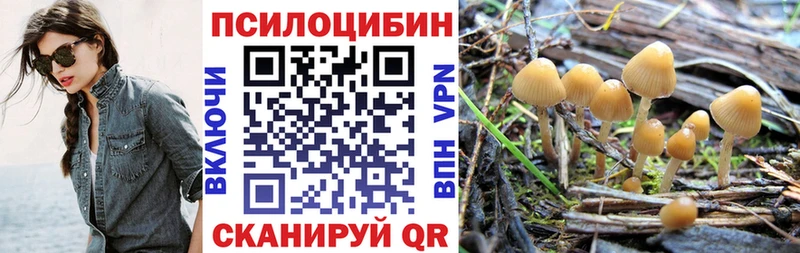 Галлюциногенные грибы Magic Shrooms Верхотурье